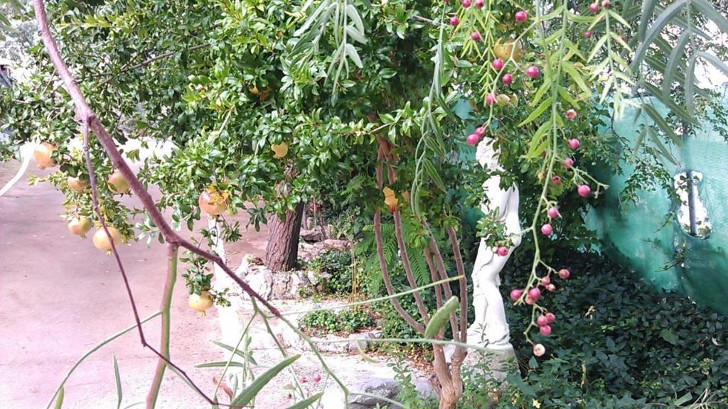 Alojamiento Rural La Caseria De Piedra Restaurante เฮน ภายนอก รูปภาพ