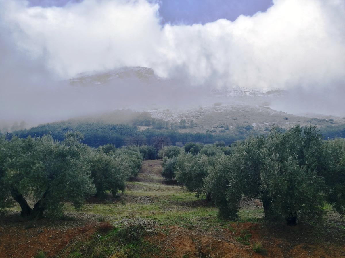 Alojamiento Rural La Caseria De Piedra Restaurante เฮน ภายนอก รูปภาพ